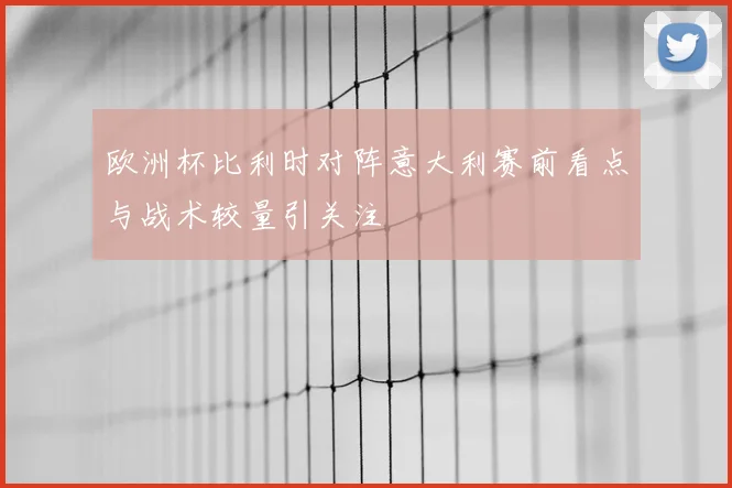 欧洲杯比利时对阵意大利赛前看点与战术较量引关注