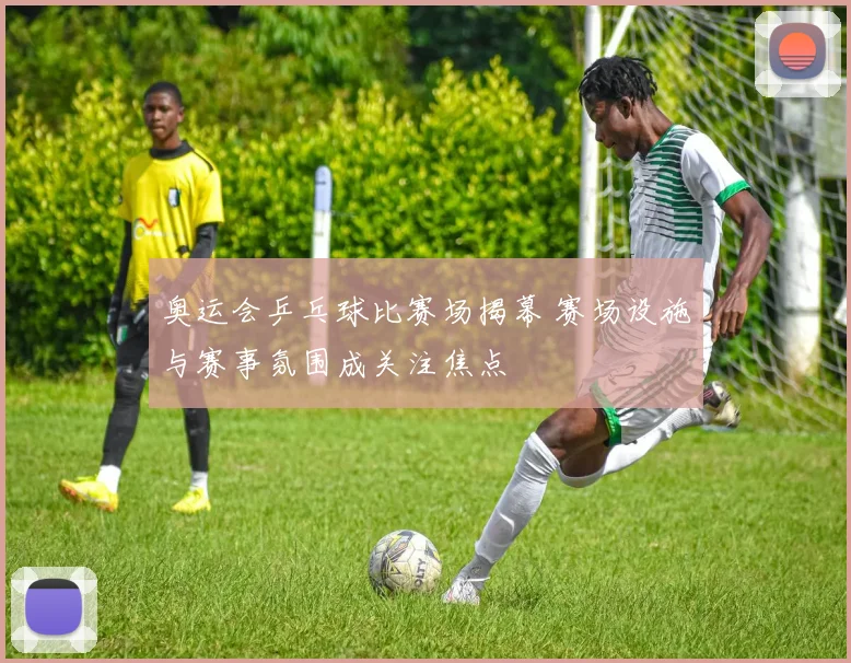 奥运会乒乓球比赛场揭幕 赛场设施与赛事氛围成关注焦点