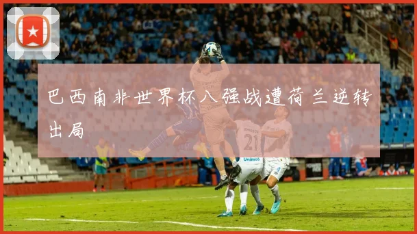 巴西南非世界杯八强战遭荷兰逆转出局